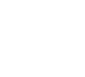 BioLayne Level 1 Nutrition - Сертифициран