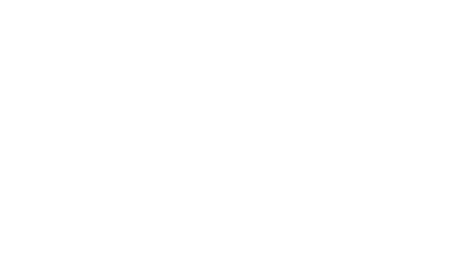 Next Level